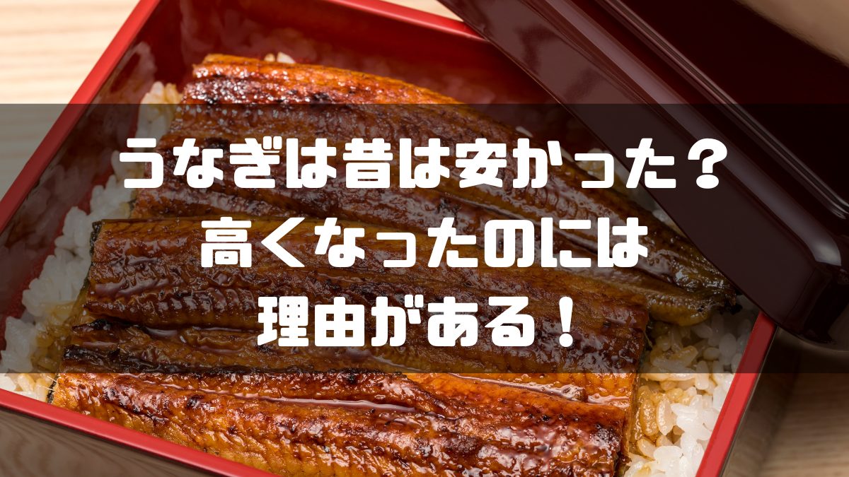 うなぎ